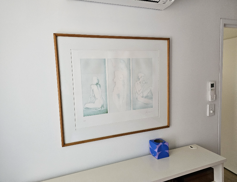Picture hanging 